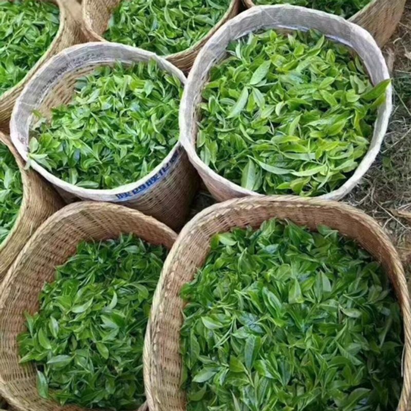 Exceptional health benefits