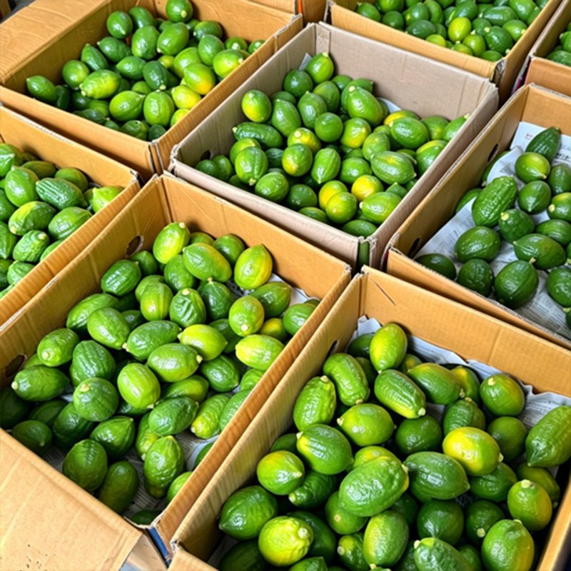 Strict selection of high-quality fruit with high freshness